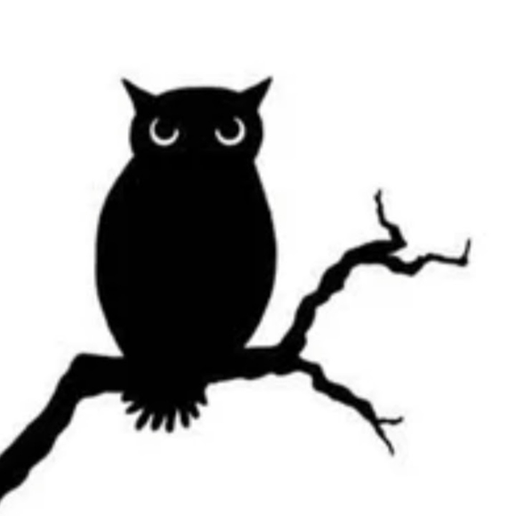 Meet your Posher, Daniel - Picture 13 of 14